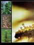 Page: - 54 | High Times