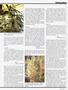 Page: - 63 | High Times