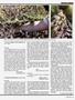 Page: - 53 | High Times