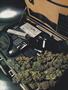 Page: - 62 | High Times