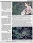 Page: - 53 | High Times