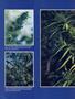 Page: - 62 | High Times