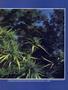 Page: - 63 | High Times