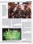 Page: - 55 | High Times