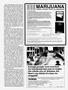 Page: - 95 | High Times