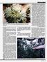 Page: - 39 | High Times