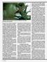 Page: - 54 | High Times