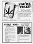 Page: - 13 | High Times