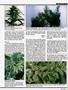 Page: - 39 | High Times