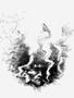 Page: - 66 | High Times