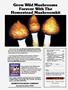 Page: - 83 | High Times