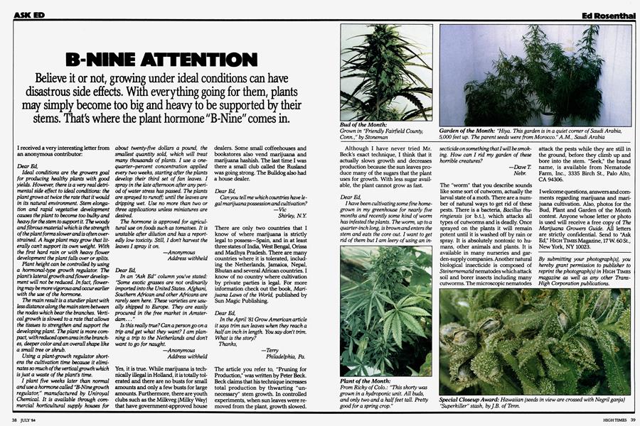 B-NINE ATTENTION
