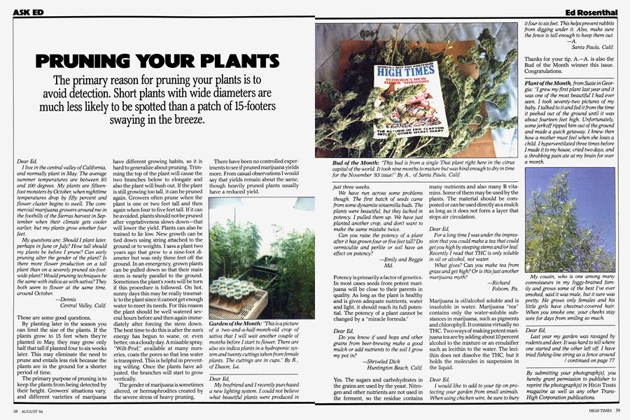 PRUNING YOUR PLANTS