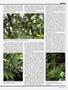 Page: - 39 | High Times