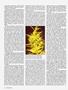 Page: - 40 | High Times