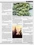 Page: - 53 | High Times