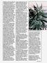 Page: - 39 | High Times