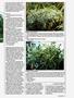 Page: - 53 | High Times