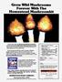 Page: - 83 | High Times