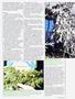 Page: - 53 | High Times