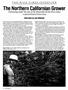 Page: - 66 | High Times