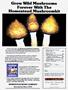 Page: - 83 | High Times