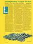 Page: - 10 | High Times