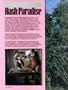 Page: - 48 | High Times