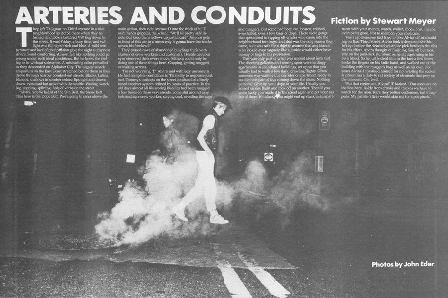 ARTERIES AND CONDUITS