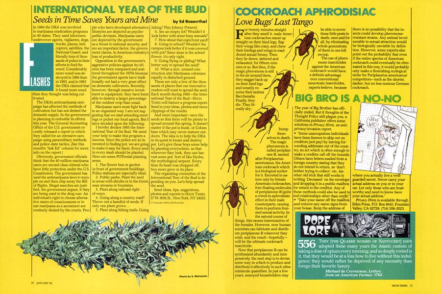 INTERNATIONAL YEAR OF THE BUD