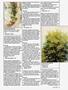 Page: - 55 | High Times