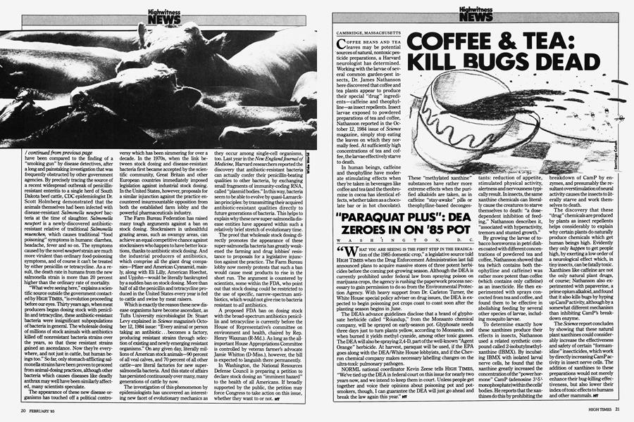 COFFEE & TEA: KILL BUGS DEAD