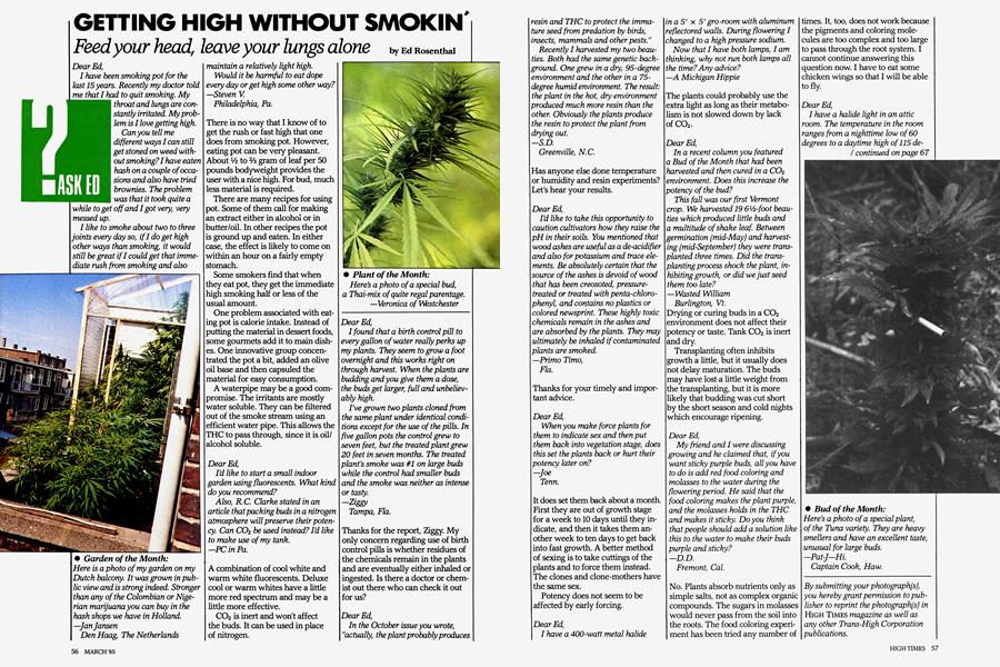 GETTING HIGH WITHOUT SMOKIN'