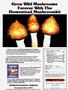 Page: - 3 | High Times