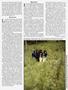Page: - 49 | High Times