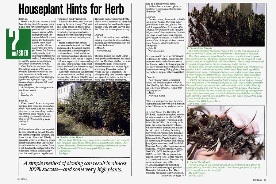 Houseplant Hints for Herb