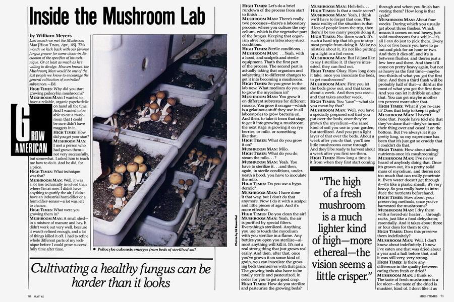 Inside the Mushroom Lab
