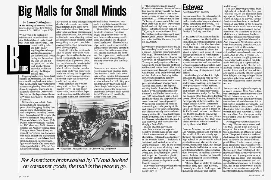 Big Malls for Small Minds