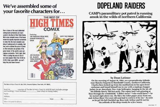 DOPELAND RAIDERS