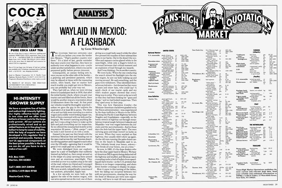 WAYLAID IN MEXICO: A FLASHBACK