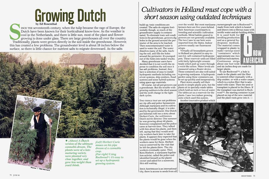 Growing Dutch