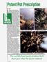 Page: - 70 | High Times