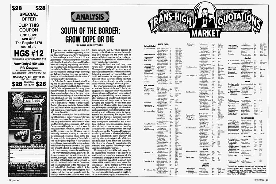 SOUTH OF THE BORDER: GROW DOPE OR DIE