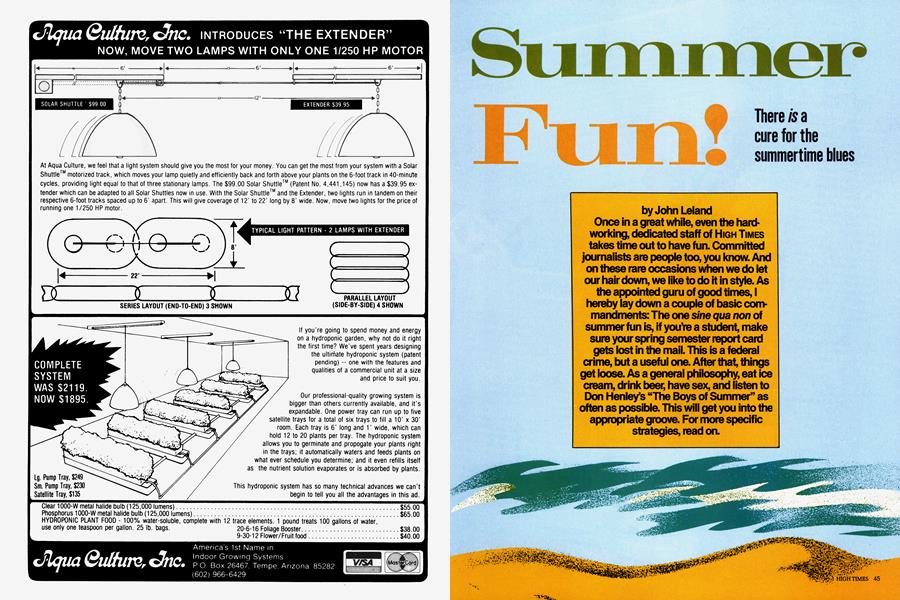 Summer Fun!