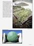 Page: - 45 | High Times