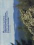 Page: - 50 | High Times