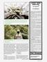 Page: - 53 | High Times