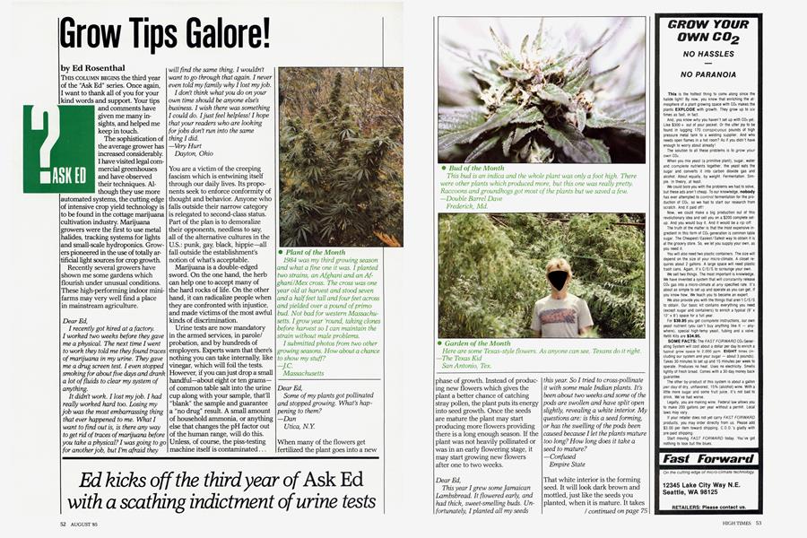 Grow Tips Galore!