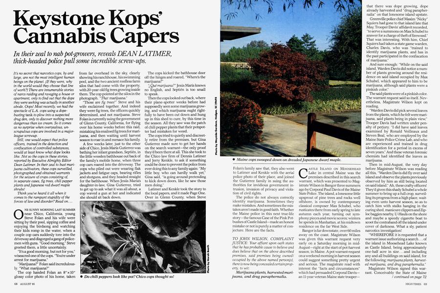 Keystone Kops’ Cannabis Capers