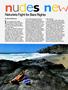 Page: - 38 | High Times